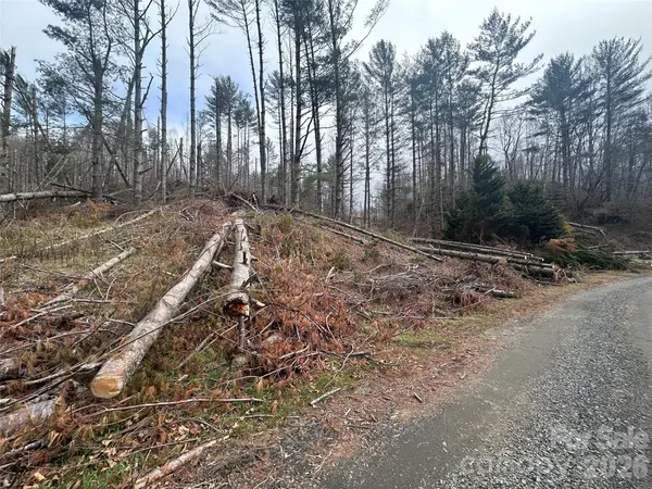 99999 Big Rock Creek DR, Bakersville, NC 28705