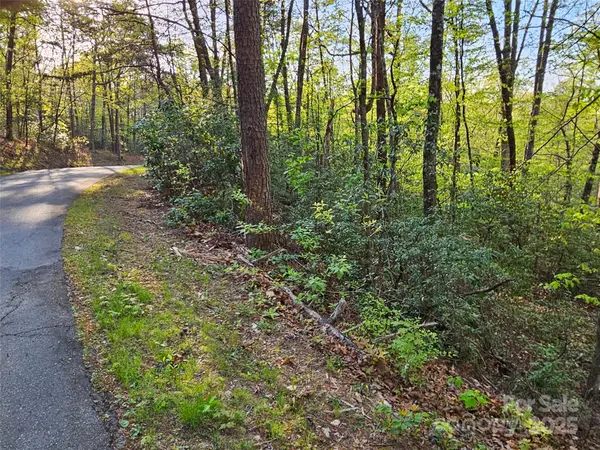0 Huntington RD #54, Lake Lure, NC 28746
