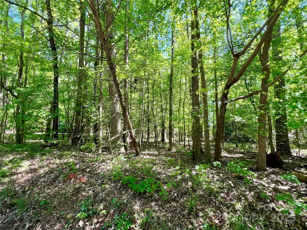 0 Monroe HWY, Lancaster, SC 29720