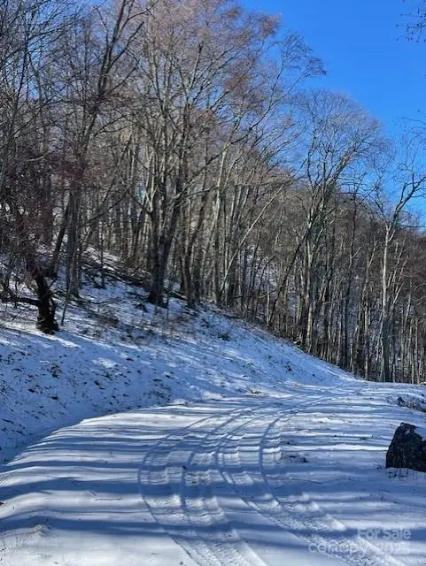 00 Wandering TRL #98, Waynesville, NC 28785