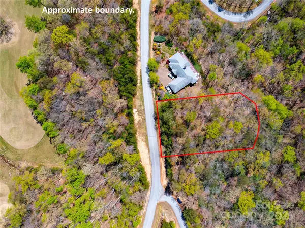 107 Deep Gap RD E, Mill Spring, NC 28756