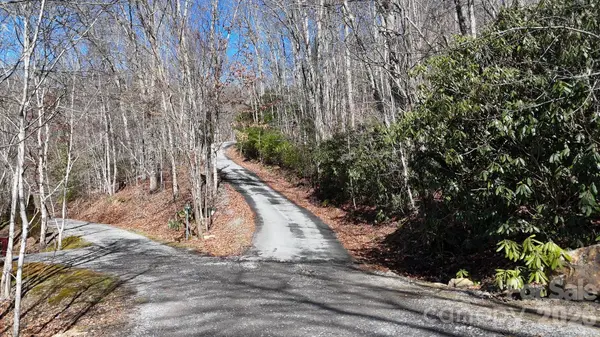 Lot 11 Bernies TRL, Waynesville, NC 28785