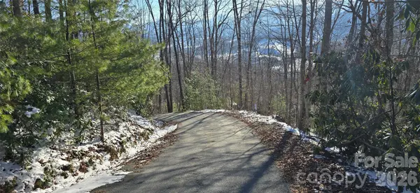 Lot 11 Bernies TRL, Waynesville, NC 28785