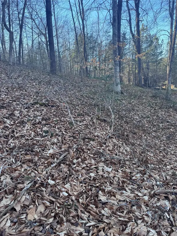 0 Creekside CIR #126, Rutherfordton, NC 28139