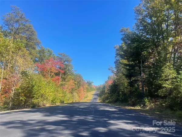 lot 46 Bald Eagle LN #46, Marion, NC 28752