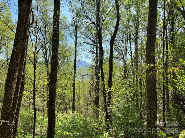 00 Hidden TRL, Franklin, NC 28734