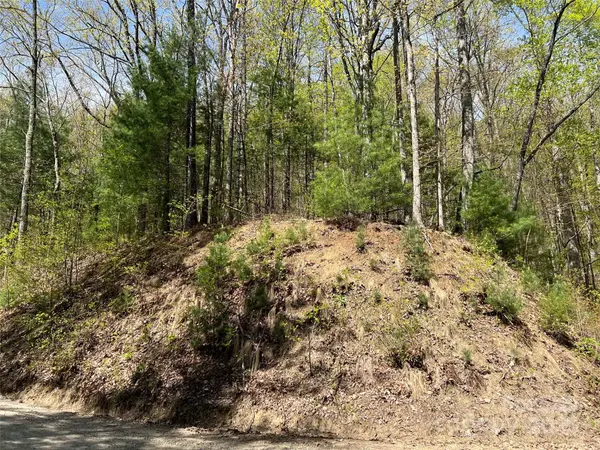 00 Hidden TRL, Franklin, NC 28734