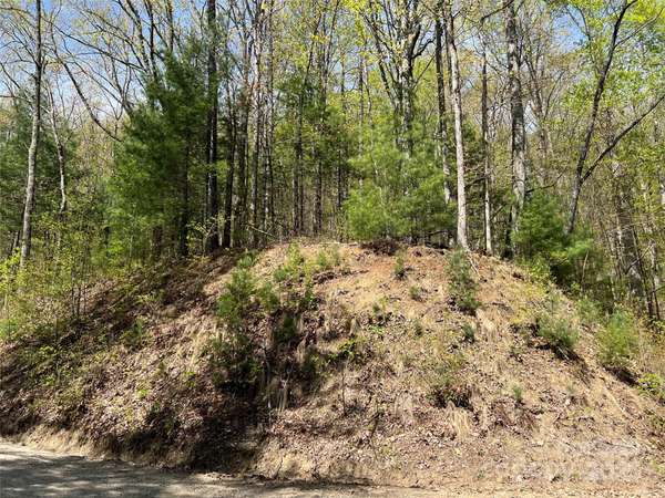 00 Hidden TRL, Franklin, NC 28734