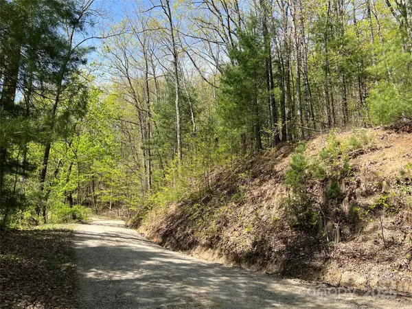 00 Hidden TRL, Franklin, NC 28734