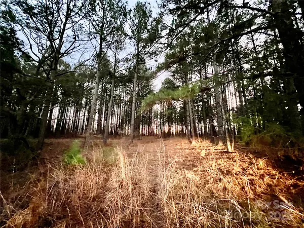 TBD Wateree RD, Great Falls, SC 29055