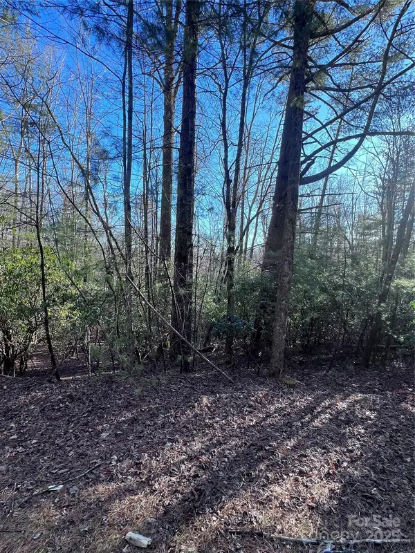 L26 Konnaneeta TRL #U03 L026, Brevard, NC 28712