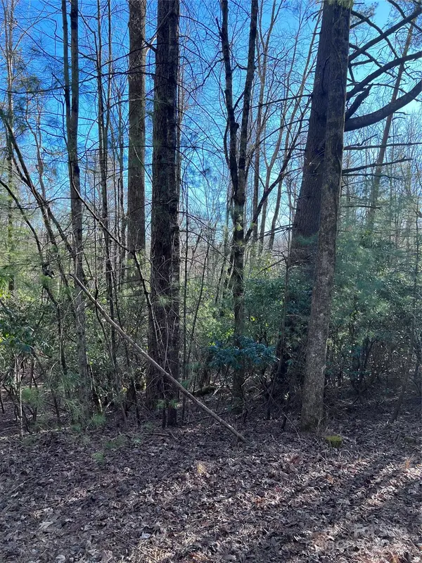 L26 Konnaneeta TRL #U03 L026, Brevard, NC 28712