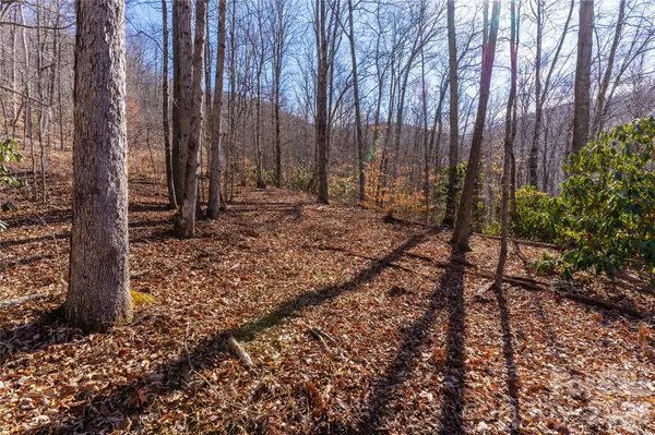 1248 Arborcrest WAY #46, Swannanoa, NC 28778