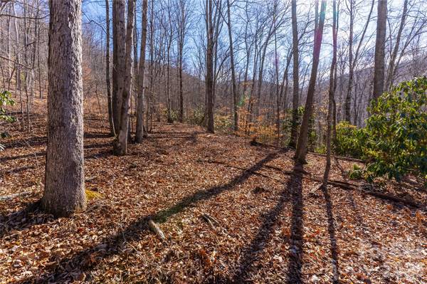 1248 Arborcrest WAY #46, Swannanoa, NC 28778