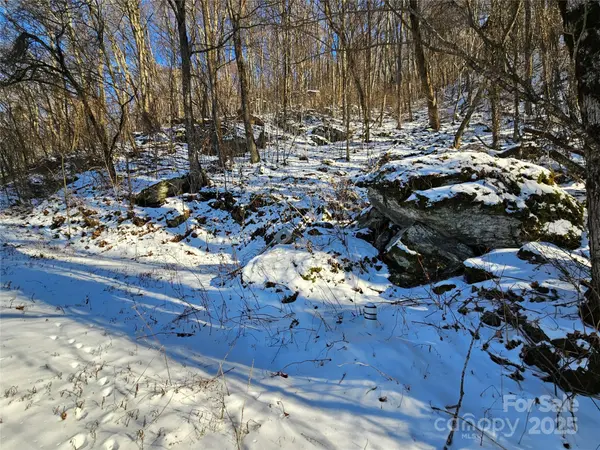 00 Marney's Vista RD, Waynesville, NC 28786