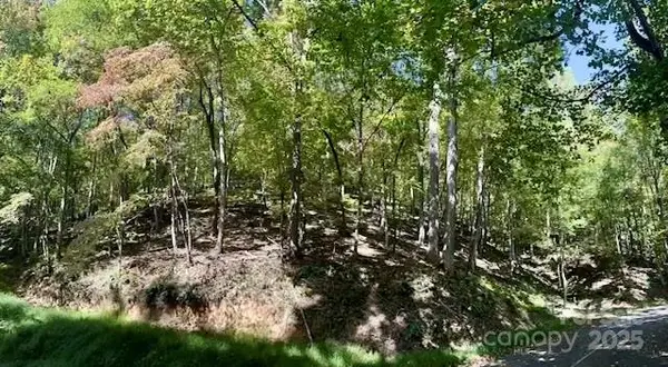 TBD Hickory Vista LN #101, 102, 103, 106, 107, Mills River, NC 28759