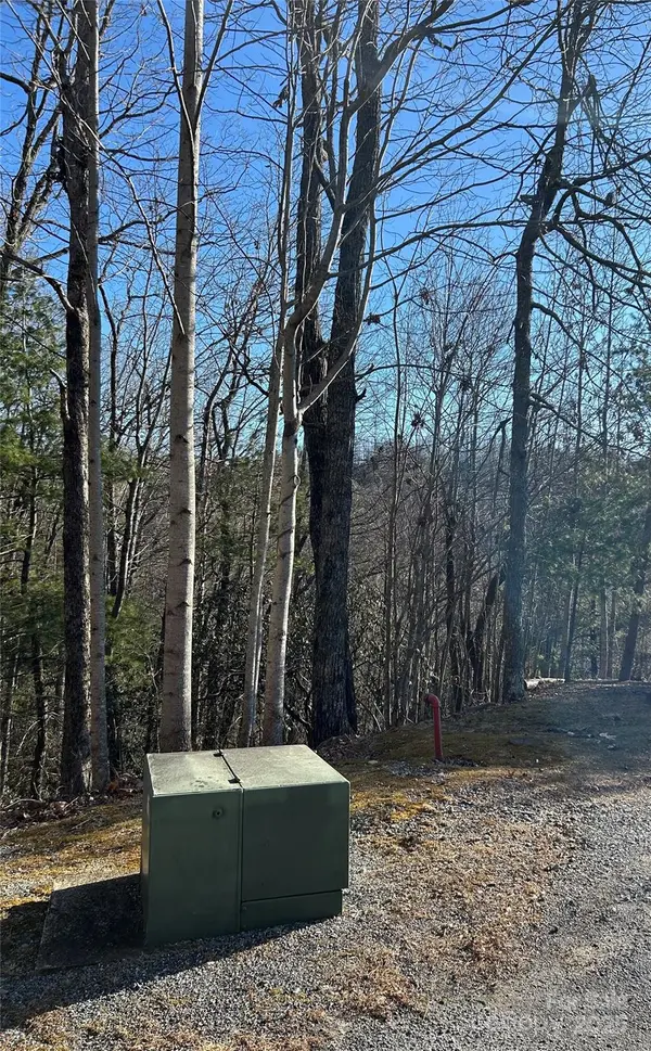 210 Thistlewynd TRL, Hendersonville, NC 28739