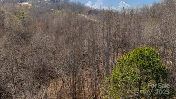 TBD Coal Pit Mountain RD, Nebo, NC 28761