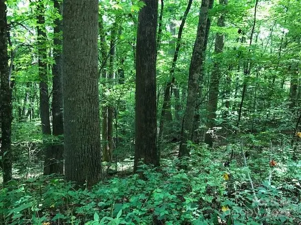 00 Red Oak LN N #Lot #24, Burnsville, NC 28714