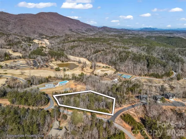 2002 Deep Gap Farm RD E, Mill Spring, NC 28756