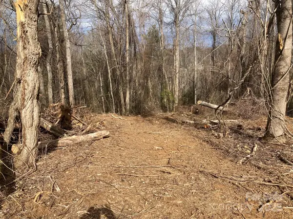 1638 Continental Divide RD #1, Flat Rock, NC 28731