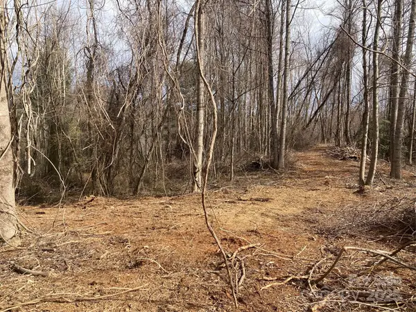 1638 Continental Divide RD #1, Flat Rock, NC 28731
