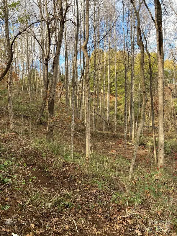 1638 Continental Divide DR #2, Flat Rock, NC 28731