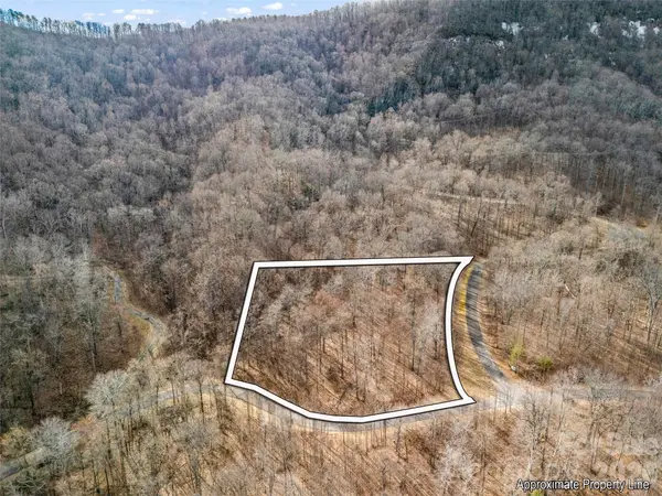 2128 Harm Creek LOOP, Mill Spring, NC 28756