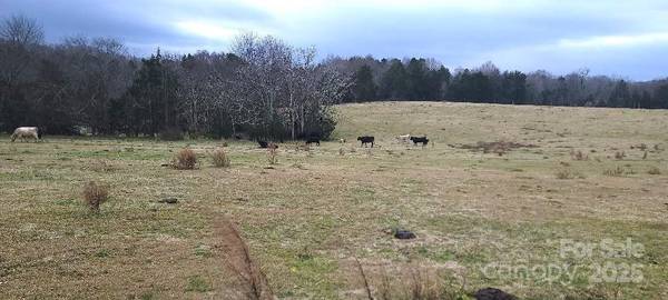 TBD Willie Usher RD, Lancaster, SC 29720