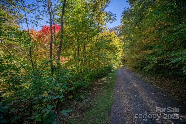 202 Nuthatch LN #202 & 203, Maggie Valley, NC 28751