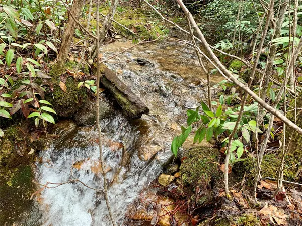 Lot 64 Peppervine CIR, Rosman, NC 28772