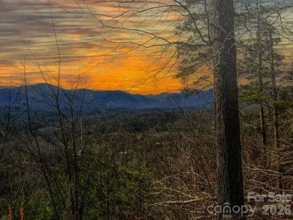0 Bills Mountain TRL #7, Lake Lure, NC 28746