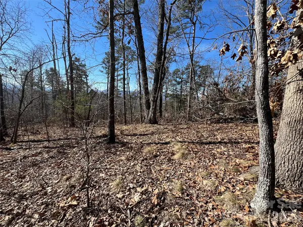0 Bills Mountain TRL #7, Lake Lure, NC 28746