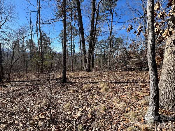 0 Bills Mountain TRL #7, Lake Lure, NC 28746