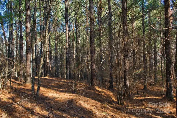 0 Clearwater Pkwy #209, Rutherfordton, NC 28139