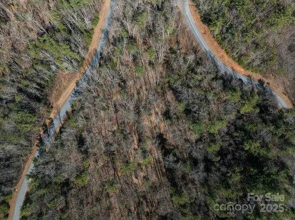 761 High Trail DR #39, Nebo, NC 28761