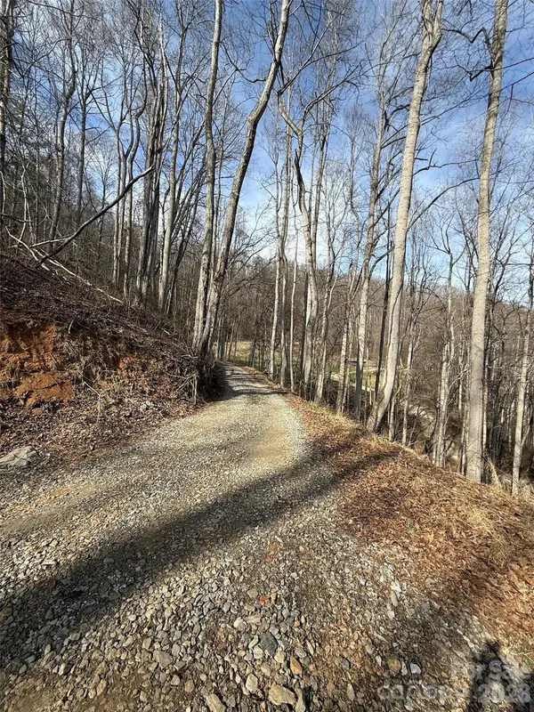 672 Porters RDG, Canton, NC 28716