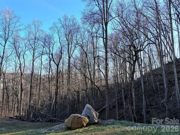 672 Porters RDG, Canton, NC 28716