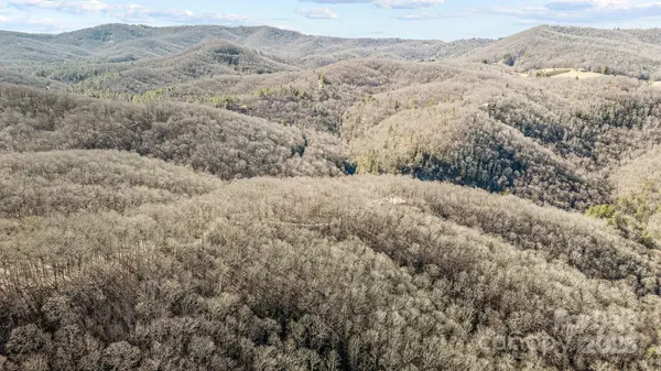 Lot F115 Leafy Knoll CIR, Glenville, NC 28736