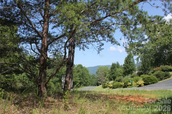 Lot #28 Lake Adger Pkwy, Mill Spring, NC 28756