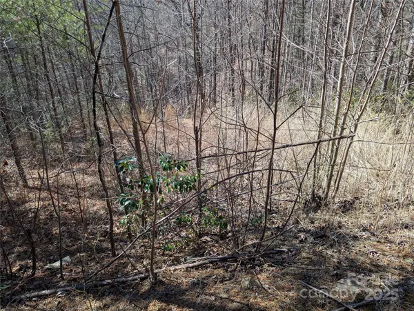 94 Trillium LN #C-2, Black Mountain, NC 28711