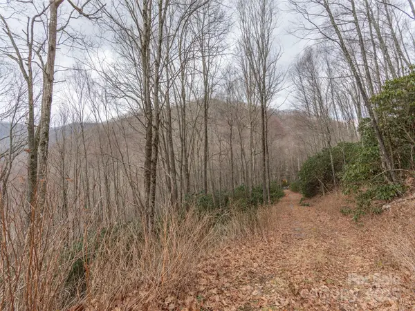 00 Bald Creek RD, Clyde, NC 28721