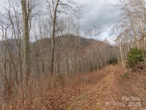 00 Bald Creek RD, Clyde, NC 28721
