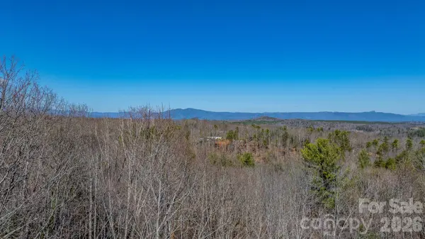 TBD Dirksen AVE #60, Nebo, NC 28761