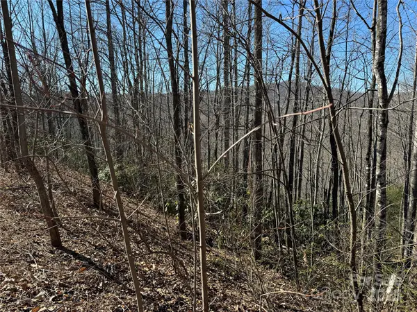 239 Fuji Falls TRL #138, Black Mountain, NC 28711