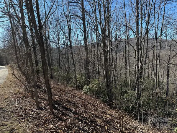 239 Fuji Falls TRL #138, Black Mountain, NC 28711