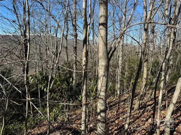 239 Fuji Falls TRL #138, Black Mountain, NC 28711