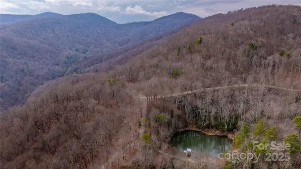 00000 Grassland Pkwy #14, Marshall, NC 28753