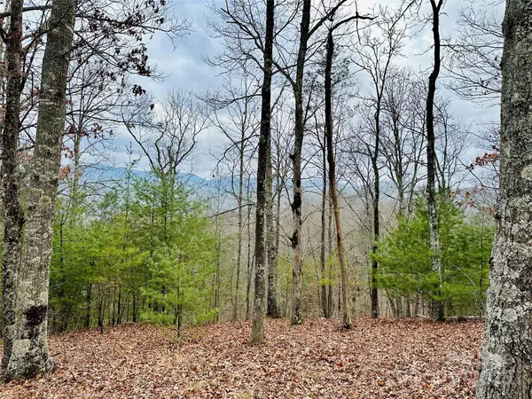 275 Raccoon RUN #24, Marshall, NC 28753