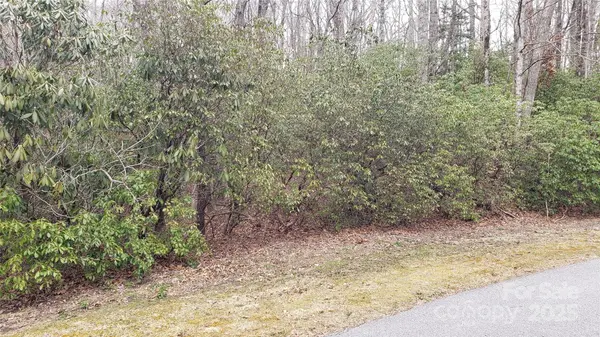 9999 Gagama CT #16/19, Brevard, NC 28712